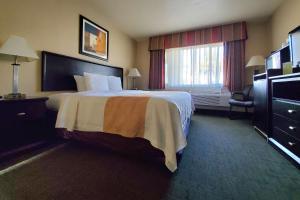a hotel room with a large bed and a window at Quality Inn & Suites Anaheim at the Park in Anaheim