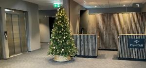a christmas tree in the middle of a lobby at Topp studio leilighet Alpine Lodge in Trysil