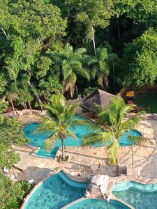 an overhead view of a swimming pool with palm trees at Apartamento em Caldas Novas in Caldas Novas