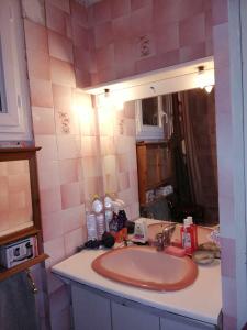 baño con lavabo y espejo grande en Chambre & table d'hôte à 5 min de la gare Matabiau, en Toulouse