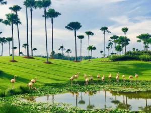 a group of flamingos standing in the grass near a pond at 【森林城市高尔夫】度假式双层别墅民宿 in Gelang Patah