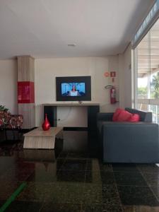 a living room with a couch and a tv at Condomínio cesars park flats in Caldas Novas