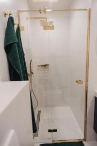 a shower with a glass door in a bathroom at Gliwice Dickensa 36A Condo in Gliwice