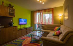 a living room with a couch and a tv at Apartman 25 Vysoké Tatry in Štrba