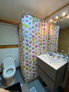 y baño con aseo, lavamanos y cortina de ducha. en Cabaña El Polux, ruta x-671, en Coyhaique