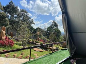 Zahrada ubytování Homestay Chân Quê
