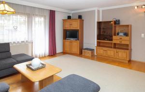 ein Wohnzimmer mit einem Sofa und einem TV in der Unterkunft Beautiful Apartment In Aschau Im Zillertal With House A Mountain View in Aschau