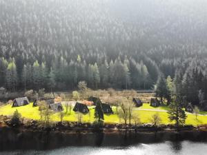 a group of cows on a field next to a body of water at Lodge 6, Invergarry Lodges in Fort Augustus