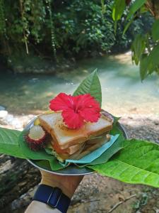 a sandwich on a plate with a red flower on it at R5 Keramba Inn in Bukit Lawang
