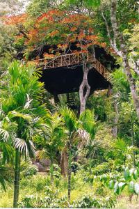 una casa en el árbol en medio de un bosque en Tranquil Resort - Blusalzz Collection, Wayanad - Kerala, en Ambalavayal