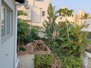 a garden with palm trees and rocks on the side of a building at Close to the sea - Upstairs Sea Facing En Suite Bedroom In Main House in Durban