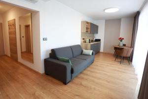 Kuchyňa alebo kuchynka v ubytovaní Apartment Dolfi, Senec