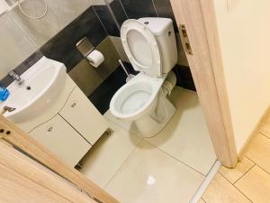 a bathroom with a toilet and a sink at CAZAN HOUSE in Bucharest