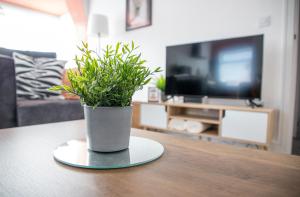 a potted plant sitting on a table in a living room at Beach Apartments - 1st Floor Cleveleys in Cleveleys +7 photos
