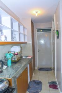 eine Küche mit einem Waschbecken und einer Dusche in der Unterkunft Luxe Oasis in Nairobi