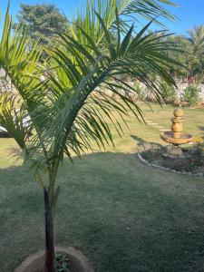 Giardino di Vijushbhuvi