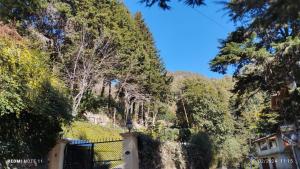 a fence in front of a hill with trees at Kainchi daam Road Nainital full 2bhk in Nainital