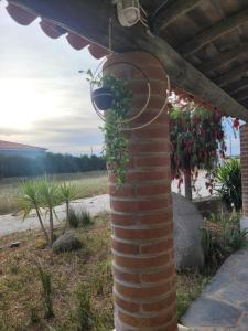 uma coluna de tijolos com uma planta crescendo fora dela em Quinta da Belavista em Reguengos de Monsaraz