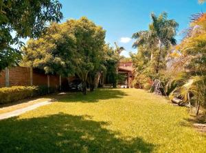 a yard with palm trees and a house at Country house, friends, meetings, well connected in Luque