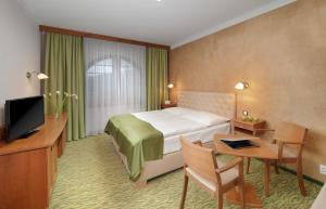 a hotel room with a bed and a desk and a television at Wellness Hotel Windsor in Špindlerův Mlýn