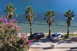 Fotografie z fotogalerie ubytování Apartments by the sea Slano, Dubrovnik - 8538 v destinaci Slano