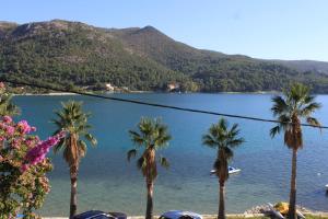 Fotografie z fotogalerie ubytování Apartments by the sea Slano, Dubrovnik - 8538 v destinaci Slano