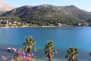 Fotografie z fotogalerie ubytování Apartments by the sea Slano, Dubrovnik - 8538 v destinaci Slano