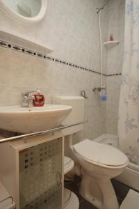 a bathroom with a toilet and a sink and a shower at Apartments by the sea Slano, Dubrovnik - 8538 in Slano +46 photos