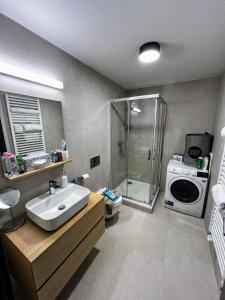 ein Badezimmer mit einem Waschbecken und einer Waschmaschine in der Unterkunft Home Heart of the center of Brno - Koliště Passage in Brünn