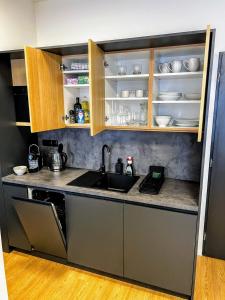 eine Küche mit einer Spüle und einer Arbeitsplatte in der Unterkunft Home Heart of the center of Brno - Koliště Passage in Brünn