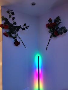 two flowers on a wall with a colorful light at Jacuzzi Love room appartement Proche Paris in Rosny-sous-Bois