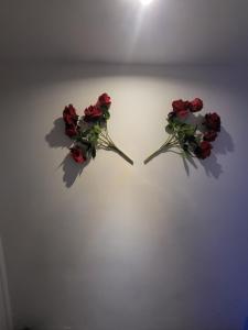 two red flowers are on a white wall at Jacuzzi Love room appartement Proche Paris in Rosny-sous-Bois