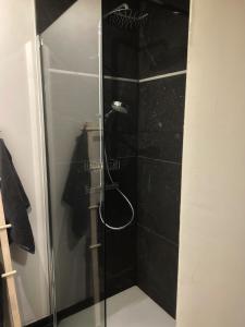 een douche met een glazen deur in de badkamer bij Suite luxueuse aux Guillemins in Luik