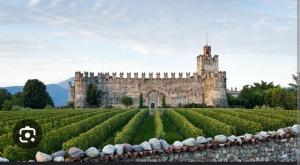 a castle with a field of crops in front of it at CORTE RITALTONI in Passirano