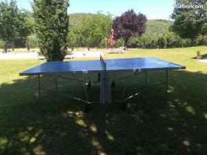 a blue ping pong table in a park at Ancienne grange rénovée avec piscine in Vaillac