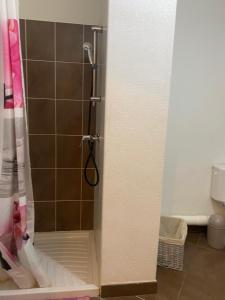 eine Dusche im Bad mit Glastür in der Unterkunft Appartement meublé in Montpellier