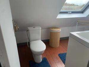 a small bathroom with a toilet and a sink at Longère Bretonne près du GR34 in Trébeurden