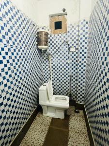 Hotel Apollo - Near Apollo Hospital في نيودلهي: حمام به مرحاض ذو بلاط ازرق وابيض
