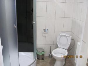 a bathroom with a toilet and a shower at ziedu pasaule 2 in Krāslava