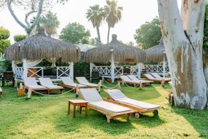 a group of lounge chairs and umbrellas on the grass at Club Tuana Fethiye - All Inclusive in Fethiye