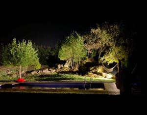 una barca seduta sull'acqua di notte di Habitaciones con baño individual en Casa de campo. Piscina. a Amoeiro