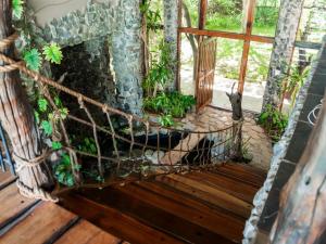 Gallery image of The Tropical Hut in Mtunzini