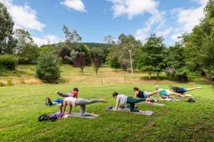 un grupo de personas haciendo yoga en un campo en Camping maeva Respire La Serre, en Aigues-Vives