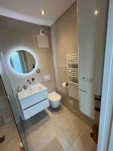 een badkamer met een toilet, een wastafel en een spiegel bij Rouen hypercentre appartement T2 in Rouen