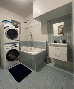 a bathroom with a washing machine and a sink at Apartman Slonek in Nové Město na Moravě