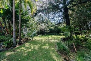 a yard with palm trees and grass and plants at Loulu in Pearl Beach