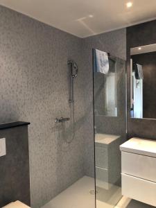 a bathroom with a shower and a sink at Apartment " KIISCHPELT " in Wilwerwiltz +32 photos