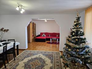 Φωτογραφία από το άλμπουμ του Casa Alex σε Malaia