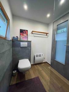 庫羅特奧伊賓的住宿－Erholen im Tiny House am Waldrand，一间带卫生间和玻璃淋浴间的浴室