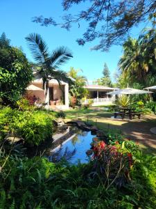 a garden with a pond in front of a house at Mijn Kitchen Coffee Shop and B&B in Blantyre